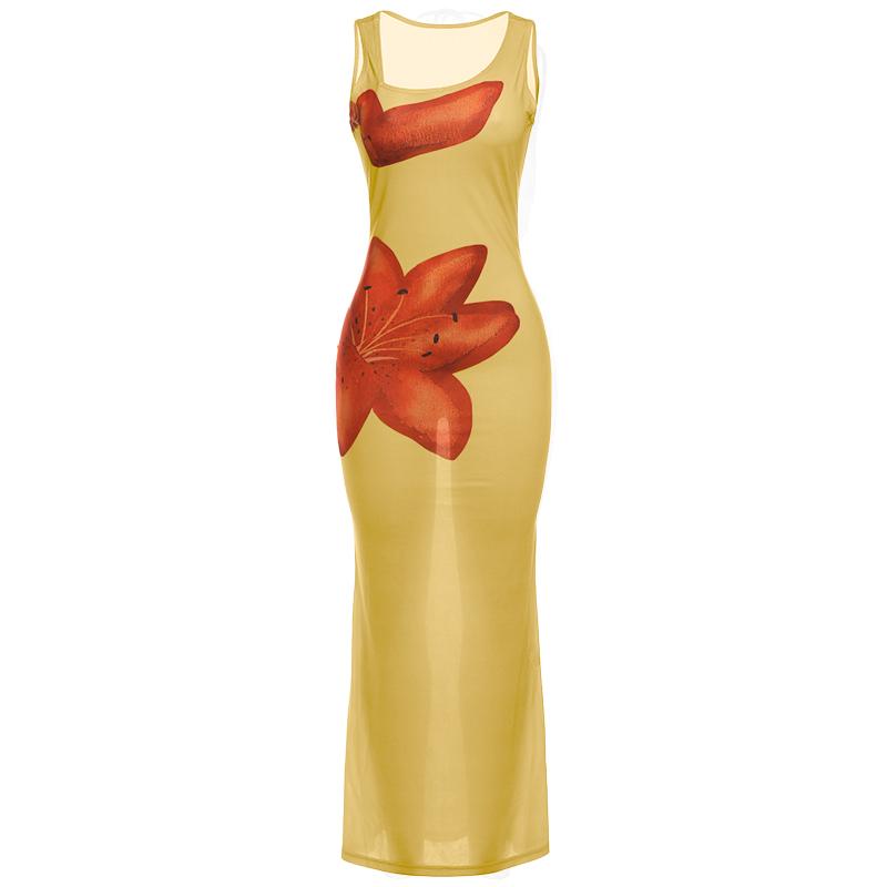 Robe longue transparente à imprimé floral et col en U irrégulier 