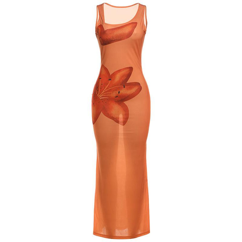 Robe longue transparente à imprimé floral et col en U irrégulier 