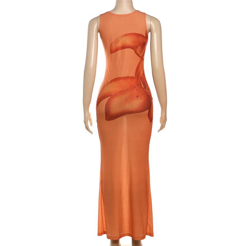 Robe longue transparente à imprimé floral et col en U irrégulier 